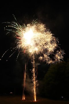 t_IMG_5381.jpg